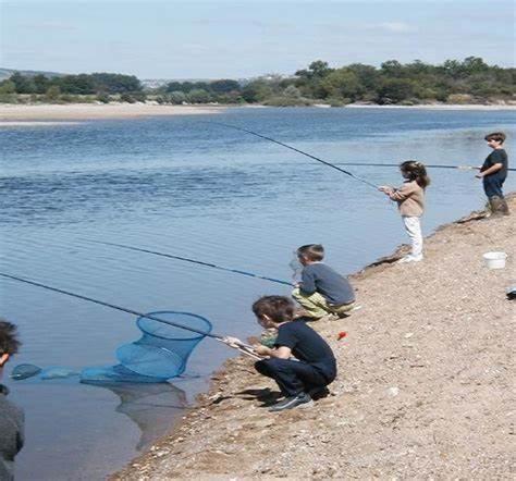 Un Gite Au Coeur Du Vignoble Chalonnes-sur-Loire Bagian luar foto